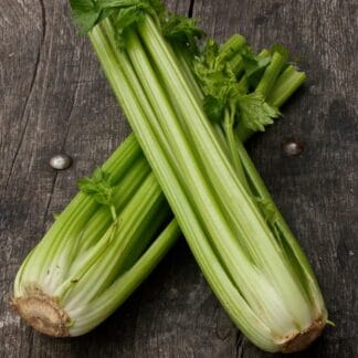 Celery (bunch)