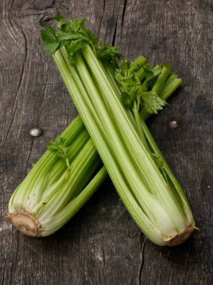 Celery (bunch)