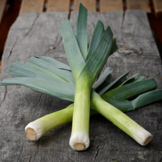 Leek