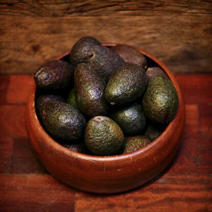 Avocados - Hass (each)