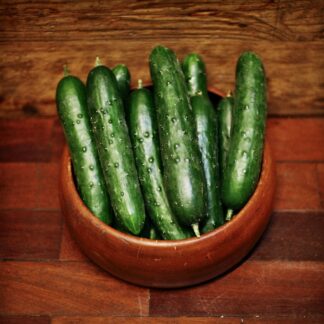Cucumber - Knobbly (each)
