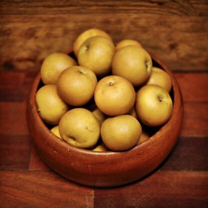 Apples - Russet (each)