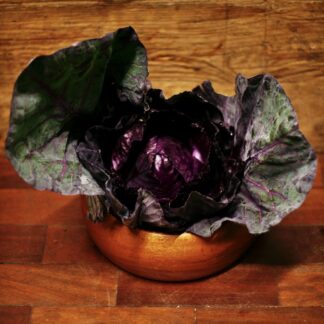 Cabbage - Red Sweetheart (each)