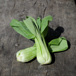 Pak Choi (UK Grown)